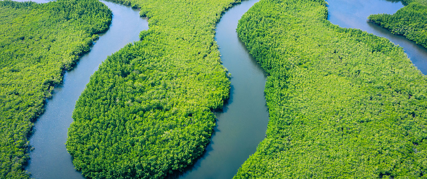 Ecossistemas brasileiros e gestão ambiental