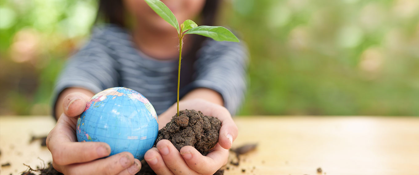 Metodologias aplicadas à educação ambiental